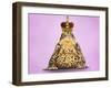 Common Toad 'Frog Prince' Wearing Crown-null-Framed Photographic Print