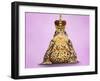 Common Toad 'Frog Prince' Wearing Crown-null-Framed Photographic Print