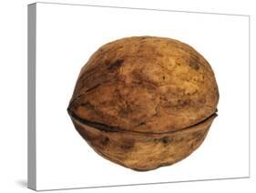 Common Walnut, Native to Southern Europe and Asia-Philippe Clement-Stretched Canvas