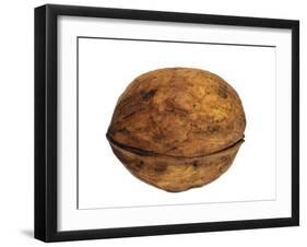 Common Walnut, Native to Southern Europe and Asia-Philippe Clement-Framed Photographic Print