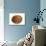 Common Walnut, Native to Southern Europe and Asia-Philippe Clement-Photographic Print displayed on a wall