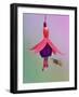 Common wasp flying to fuchsia flower,  Banbridge, County Down, Northern Ireland.-Robert Thompson-Framed Photographic Print