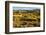 Common Wombat, Cradle Mountain-Lake St. Clair National Park, Tasmania-Mark A Johnson-Framed Photographic Print