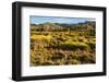 Common Wombat, Cradle Mountain-Lake St. Clair National Park, Tasmania-Mark A Johnson-Framed Photographic Print