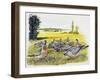 Common Wood Pigeons in Meadow (Columba Palumbus), Columbidae-null-Framed Giclee Print