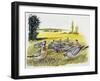 Common Wood Pigeons in Meadow (Columba Palumbus), Columbidae-null-Framed Giclee Print