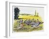 Common Wood Pigeons in Meadow (Columba Palumbus), Columbidae-null-Framed Giclee Print