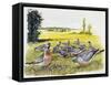 Common Wood Pigeons in Meadow (Columba Palumbus), Columbidae-null-Framed Stretched Canvas