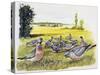 Common Wood Pigeons in Meadow (Columba Palumbus), Columbidae-null-Stretched Canvas