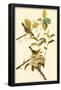 Common Yellow Throat-null-Framed Poster