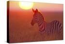 Stretched Canvas