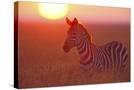 Stretched Canvas