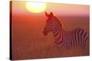 Stretched Canvas