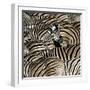 Common Zebra (Equus quagga burchellii) herd, with heads down drinking, Etosha-Martin Withers-Framed Photographic Print