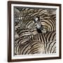 Common Zebra (Equus quagga burchellii) herd, with heads down drinking, Etosha-Martin Withers-Framed Photographic Print