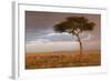 Common Zebra (Equus quagga) herd, Masai Mara National Reserve-Bernd Rohrschneider-Framed Photographic Print