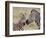 Common Zebra or Burchell's Zebra (Equus Burchelli) Foal and Mare, Serengeti National Park, Tanzania-James Hager-Framed Photographic Print