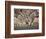 Common Zebra Wading at Waterhole Etosha Np, Namibia, 2006-Tony Heald-Framed Photographic Print