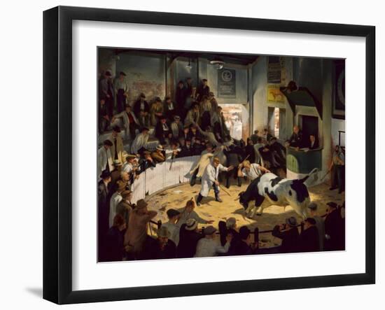 Commotion in the Cattle Ring-James Bateman-Framed Giclee Print