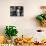 Communal Bakery in Primitive Mexican Village, Loaves of Bread Being Shoved into Adobe Oven-null-Photographic Print displayed on a wall