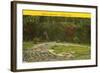 Communal House Ruins, Bandelier Park, New Mexico-null-Framed Art Print