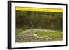 Communal House Ruins, Bandelier Park, New Mexico-null-Framed Art Print