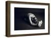 Communication-Nir Amos-Framed Photographic Print