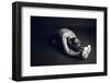 Communication-Nir Amos-Framed Photographic Print