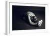 Communication-Nir Amos-Framed Photographic Print