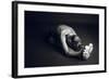 Communication-Nir Amos-Framed Photographic Print