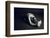 Communication-Nir Amos-Framed Premium Photographic Print