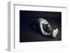 Communication-Nir Amos-Framed Premium Photographic Print