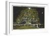 Community Christmas Tree, Wilmington, North Carolina-null-Framed Art Print