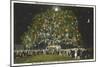 Community Christmas Tree, Wilmington, North Carolina-null-Mounted Art Print