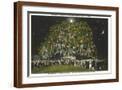 Brown Frame
