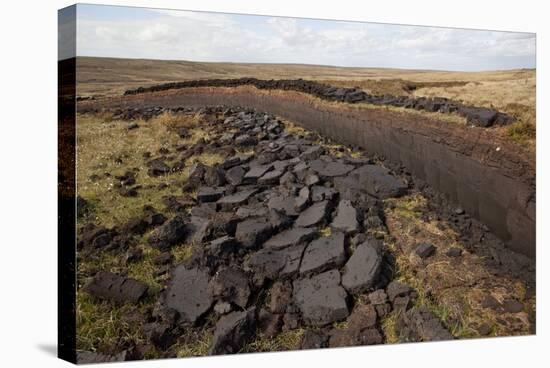 Community Peat Diggings, North Harris, Western Isles - Outer Hebrides, Scotland, UK, May 2011-Peter Cairns-Stretched Canvas