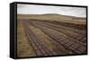 Community Peat Diggings, North Harris, Western Isles - Outer Hebrides, Scotland, UK, May 2011-Peter Cairns-Framed Stretched Canvas