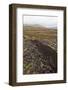 Community Peat Diggings, North Harris, Western Isles - Outer Hebrides, Scotland, UK, May 2011-Peter Cairns-Framed Photographic Print