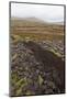 Community Peat Diggings, North Harris, Western Isles - Outer Hebrides, Scotland, UK, May 2011-Peter Cairns-Mounted Photographic Print