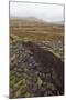 Community Peat Diggings, North Harris, Western Isles - Outer Hebrides, Scotland, UK, May 2011-Peter Cairns-Mounted Photographic Print