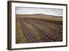 Community Peat Diggings, North Harris, Western Isles - Outer Hebrides, Scotland, UK, May 2011-Peter Cairns-Framed Photographic Print