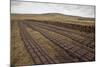 Community Peat Diggings, North Harris, Western Isles - Outer Hebrides, Scotland, UK, May 2011-Peter Cairns-Mounted Photographic Print