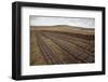 Community Peat Diggings, North Harris, Western Isles - Outer Hebrides, Scotland, UK, May 2011-Peter Cairns-Framed Photographic Print