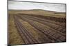 Community Peat Diggings, North Harris, Western Isles - Outer Hebrides, Scotland, UK, May 2011-Peter Cairns-Mounted Photographic Print