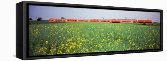 Commuter Train Passing Through Oilseed Rape Fields, Baden-Wurttemberg, Germany-null-Framed Stretched Canvas