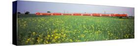 Commuter Train Passing Through Oilseed Rape Fields, Baden-Wurttemberg, Germany-null-Stretched Canvas