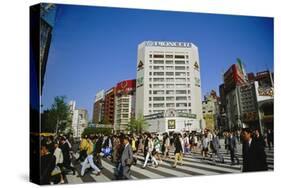 Commuters, Tokyo, Japan-Steve Bavister-Stretched Canvas