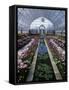 Como Park Conservatory, St. Paul, Minnesota, USA-null-Framed Stretched Canvas