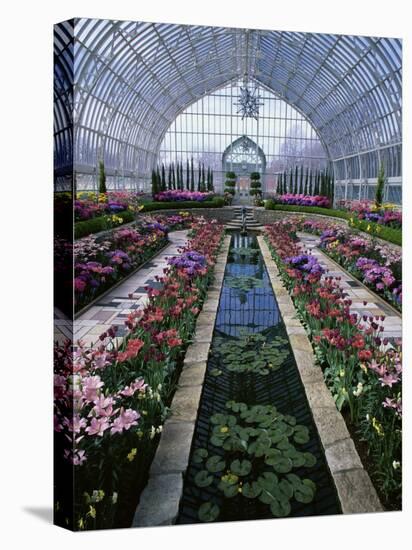 Como Park Conservatory, St. Paul, Minnesota, USA-null-Stretched Canvas