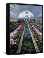 Como Park Conservatory, St. Paul, Minnesota, USA-null-Framed Stretched Canvas